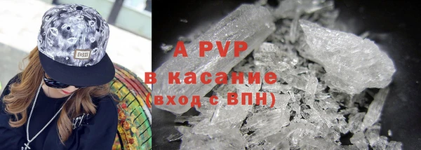 a pvp Бородино